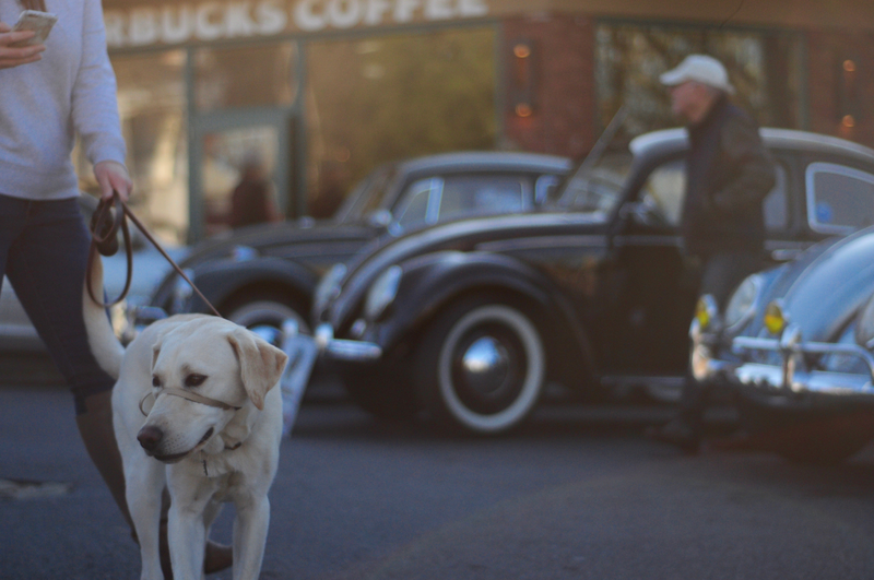 Illustration for article titled Small Caffeine and Carburetors New Canaan Photo Dump